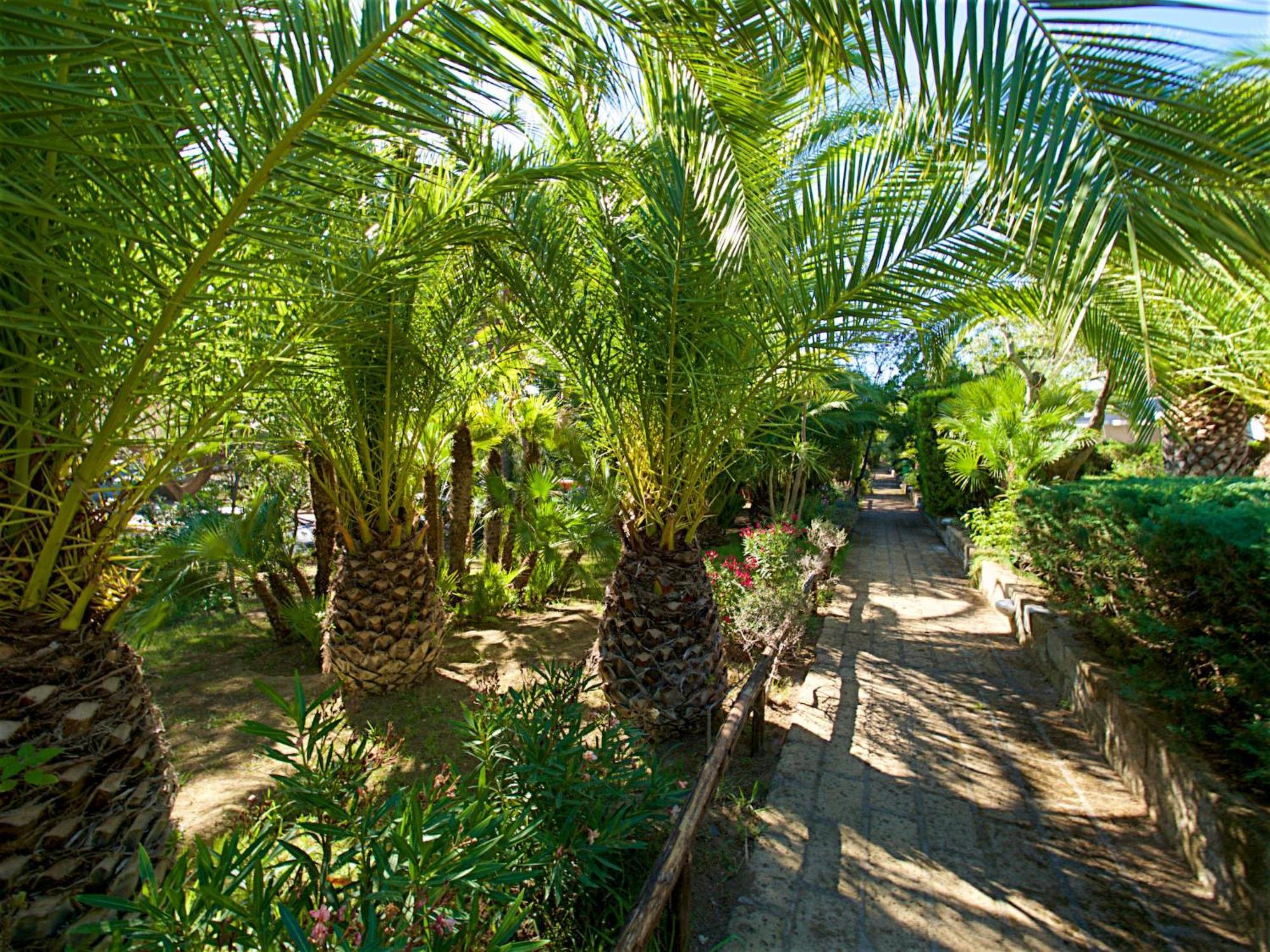 Holiday Home Twoo-Room Comfort By Interhome Castiglione della Pescaia Extérieur photo